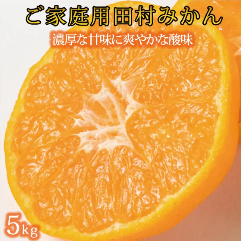 【ご家庭用訳あり】田村みかん　5kg　※2026年11月下旬～2027年1月下旬頃に発送【uot754A】