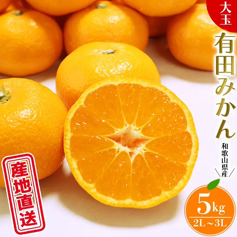 ＼ みかんの名産地 和歌山県産／ 農家直送 大玉 有田みかん 5kg （2L～3L） ひとつひとつ手選別で厳選【2026年11月下旬～2027年1月中旬ごろに順次発送予定】 | みかん フルーツ 果物 くだもの 有田みかん 蜜柑 柑橘【hdm001-1A】