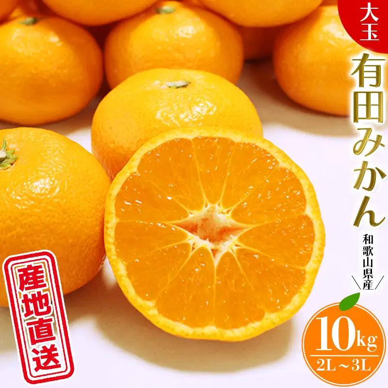 ＼ みかんの名産地 和歌山県産／ 農家直送 大玉 有田みかん 10kg （2L～3L） ひとつひとつ手選別で厳選【2026年11月下旬～2027年1月中旬ごろに順次発送予定】 | みかん フルーツ 果物 くだもの 有田みかん 蜜柑 柑橘【hdm001-2A】