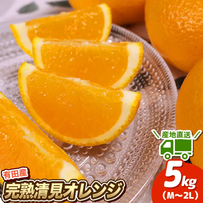 ＼ みかんの名産地 和歌山県産／ 農家直送 完熟清見オレンジ 5kg (M～２Lサイズおまかせ) ひとつひとつ手選別で厳選【2027年3月中旬～4月下旬ごろに順次発送予定】【hdm003A】