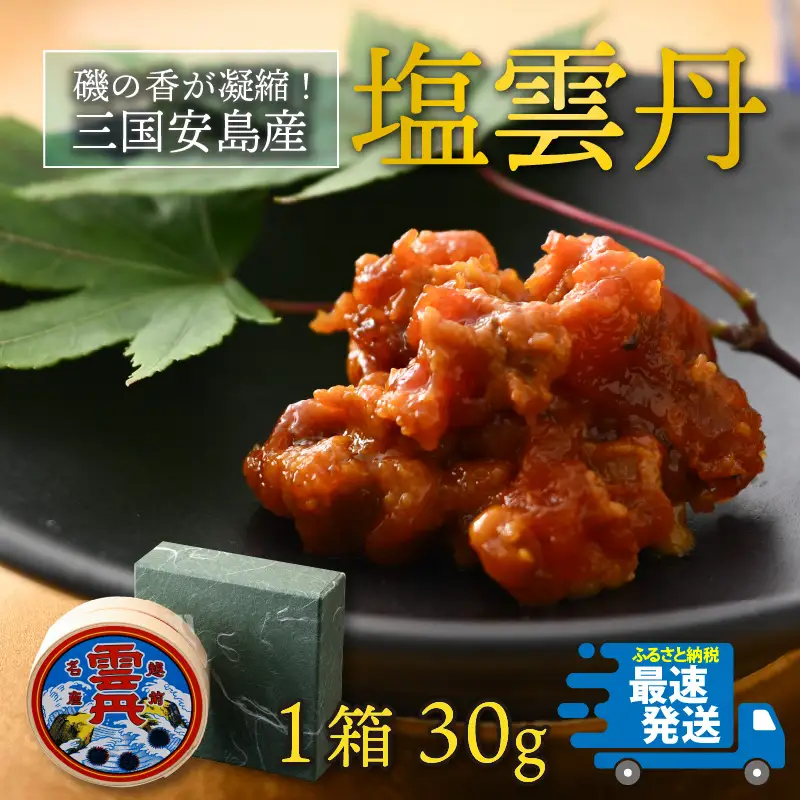 三国安島産 塩雲丹 30g 珍味 ウニ 塩うに ご当地 [B-12603]