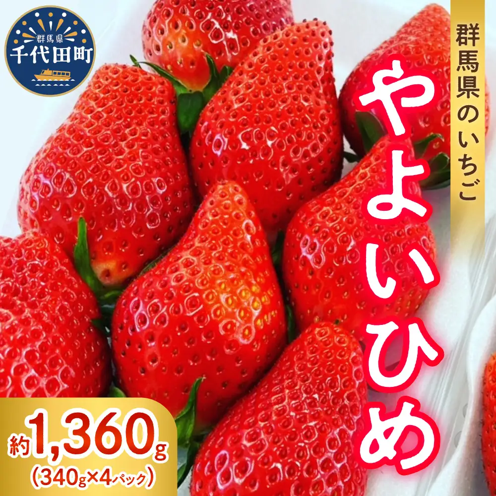 【クール便】2027年5月発送 いちご やよいひめ 約340g×4