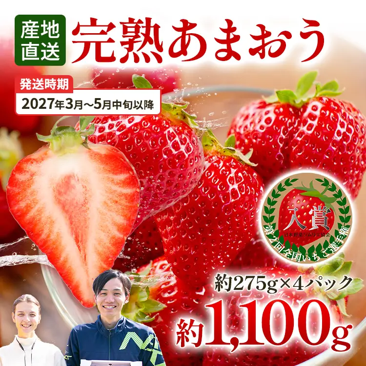 いちご あまおういちご 約275g×4P R9年3月～5月中旬順次発送