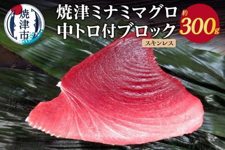 焼津ミナミマグロ中トロ付ブロック（スキンレス） (a11-049)