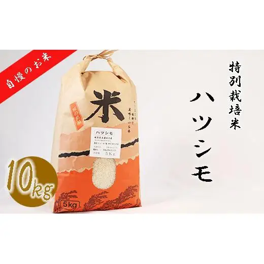 【特別栽培米】垂井町産ハツシモ10kg 2025/9/19～