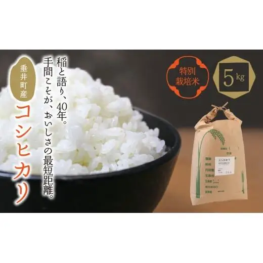 ≪令和7年産≫ 【特別栽培米】垂井町産コシヒカリ5kg