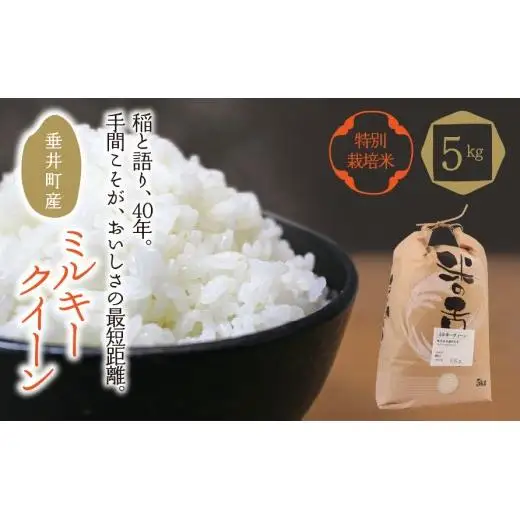 ≪令和7年産≫ 【特別栽培米】垂井町産 ミルキークイーン 5kg