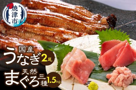 家計応援　国産 うなぎ 鰻　バチマグロ ビンチョウマグロ まぐろ たたき　総重量約1.9kg (a35-017)