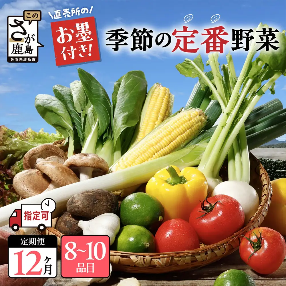 【12ヶ月 定期便】【野菜ソムリエ選定】 肥前の国のお野菜定期便 新鮮 採れたて 野菜 直売所 野菜 8～10品目 野菜定期便 J-14