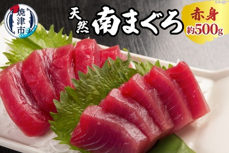 焼津 天然 南 まぐろ 赤身 (a10-244)