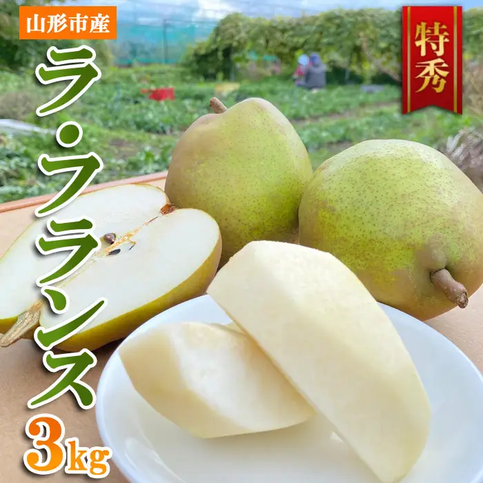 山形市産 ラ・フランス 特秀 3kg FY23-694