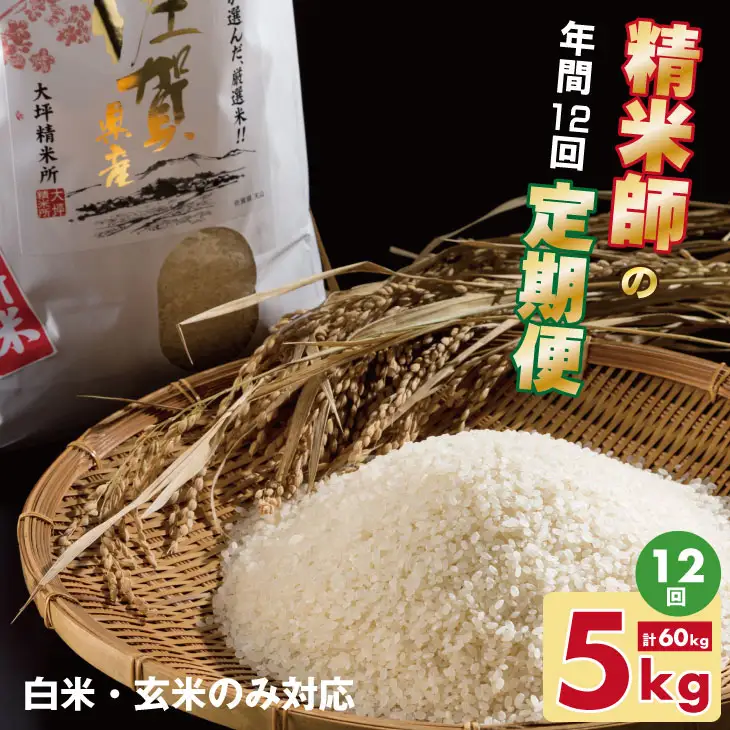 【定期便】 (12ヶ月連続お届け) 大坪精米所 佐賀ブランド米定期便（5kg×12回） 特A評価のブランド米 Q192-003