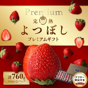 池田農園の完熟よつぼしプレミアムギフト (380g×2パック)　計760g 〔Fi111〕