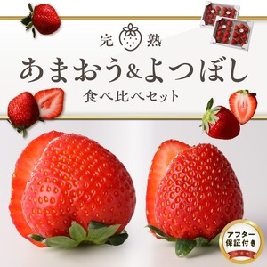 池田農園の完熟あまおう＆完熟よつぼし食べ比べセット 〔Fi046〕