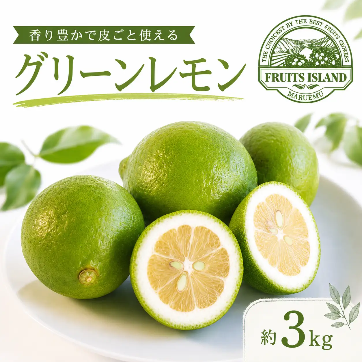 レモン 約 3kg 24個 柑橘 檸檬 牡蠣 フライ レモンティー 愛媛 愛南 マルエム直販