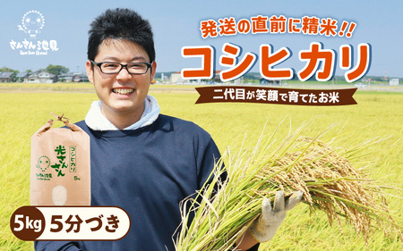 先行予約 令和8年産・新米 コシヒカリ 5kg 5分づき ぶづき精米 福井県産コシヒカリ [A-0267_03]