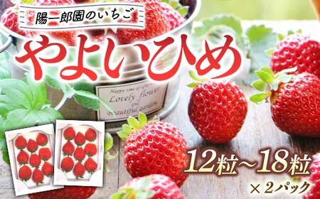 陽一郎園の大粒いちごＷ（ダブル） いちご イチゴ 苺 フルーツ 果物 F4H-0031
