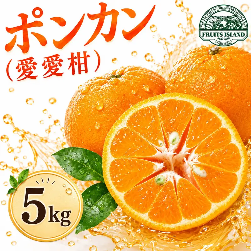 先行予約 ポンカン 約5kg 愛愛柑 10000円 柑橘 ぽんかん 愛媛 愛南 マルエム直販