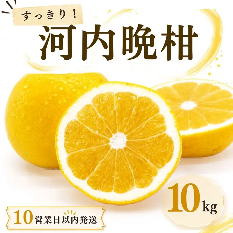 【10営業日以内発送】河内晩柑 ばんかん 約 10kg 家庭 柑橘 かんきつ フルーツ 果物 くだもの すぐ届く 早い 甘い さっぱり 厳選 愛媛 みかん 蜜柑 愛南 ご当地 ブランド 野菜 サラダ ピール ゼリー お菓子 デザート マルエム直販 愛媛県 愛南町