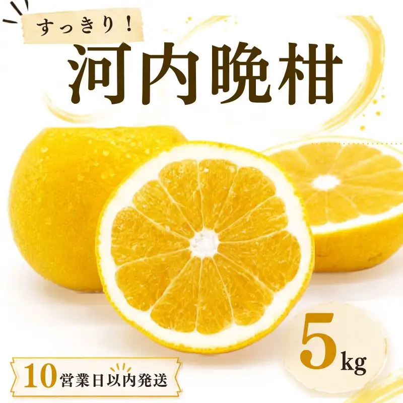 【10営業日以内発送】河内晩柑 ばんかん 約 5kg 家庭 柑橘 かんきつ フルーツ 果物 くだもの すぐ届く 早い 甘い さっぱり 厳選 愛媛 みかん 蜜柑 Mikan 愛南 ご当地 ブランド 野菜 サラダ ピール ゼリー お菓子 デザート マルエム直販 愛媛県 愛南町