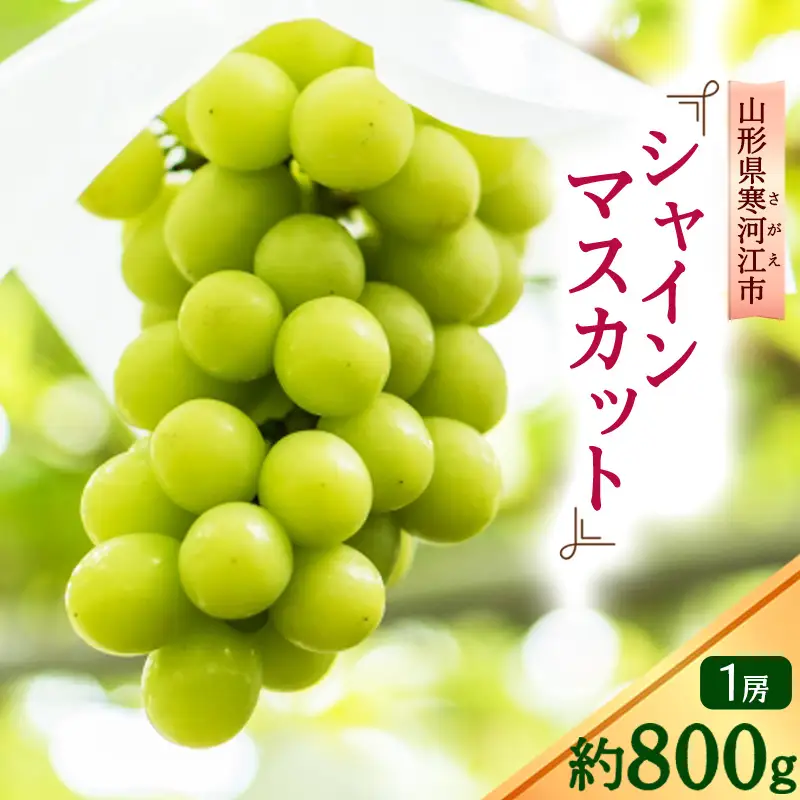 令和8年産 大粒ぶどう シャインマスカット 約800g 1房 道の駅厳選 山形県産 【2026年10月上旬頃から10月下旬頃発送予定】 ※配送不可 沖縄・離島　019-B-CS003