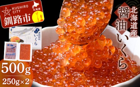 北海道産醤油いくら 500g ふるさと納税 いくら 北海道産 いくら 小分け 250g x2 いくら醤油漬 海産 魚卵 F4F-1644