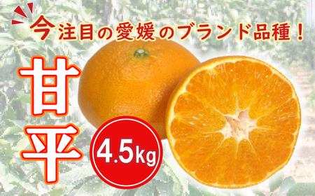 先行予約 数量限定 甘平 4.5kg みかん 前田ファーム みかん 蜜柑 柑橘 みかん 愛媛県 愛南町 みかん 発送期間: 2024年2月1日?3月1日