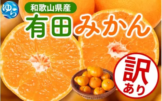 家庭用 有田 みかん サイズ混合(2S～2L) 5kg+250g ※11月発送(完熟) / 温州みかん 有田みかん 訳あり 甘い 光センサー選果 果物 柑橘 和歌山 ※北海道・沖縄・離島への配送不可 【ikd004-cm-5-novC】