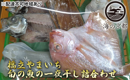 海の京都 橋立やまいち 旬の魚の一夜干し詰合わせ[ 一夜干し 桜干し ギフト ] myz02 myz11 myz17