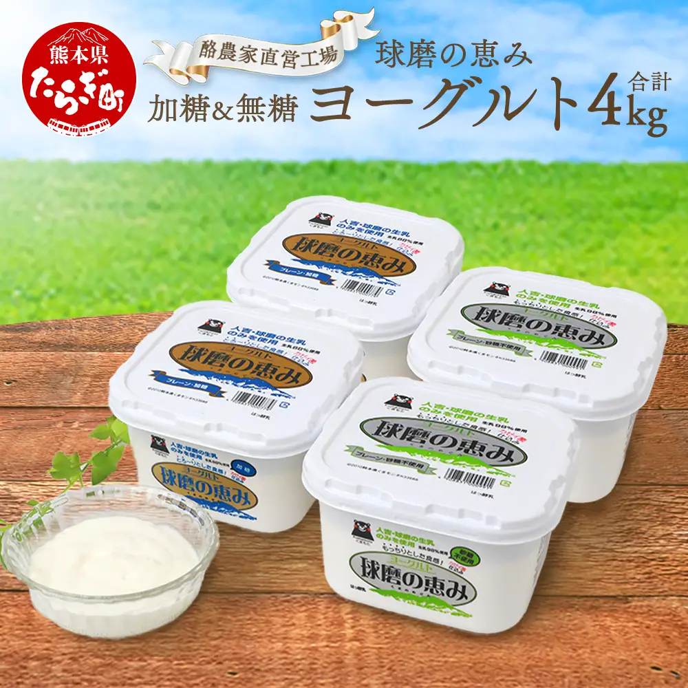 球磨の恵み ヨーグルト 加糖・砂糖不使用 1000g×各2個セット 合計4kg【 新鮮 生乳使用 とろーり もっちり 加糖ヨーグルト 砂糖不使用 プレーンヨーグルト 食べるヨーグルト 】 074-0448