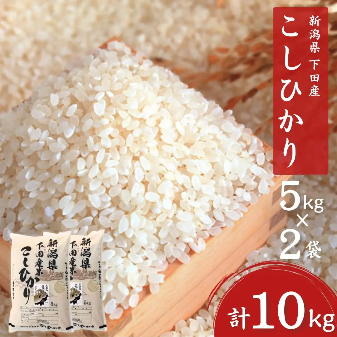 先行予約 新潟県産コシヒカリ5kg×2袋 10kg 令和8年産 三条市下田 コシヒカリ