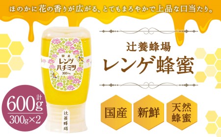 辻養蜂場 レンゲ蜂蜜 300g×2本 計600g はちみつ