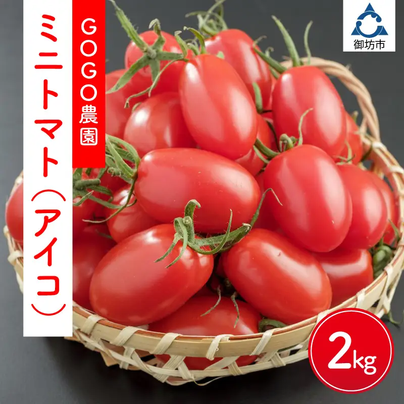 ミニトマト（アイコ）2kg ≪先行予約2026年12月より順次発送予定≫ ミニトマト【1002-4】