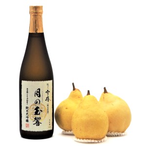 【2026年先行予約】日本酒 地酒「越乃雪椿（月の玉響）720ml」と「ル・レクチェ1kg」セット 雪椿酒造 樋口農園《11月下旬以降順次発送》