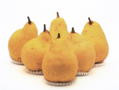 【2026年先行予約】新潟特産 幻の洋梨ル・レクチェ 特選品 約2kg （5～7玉）《11月下旬以降順次発送》果物 樋口農園 マルダイ有本