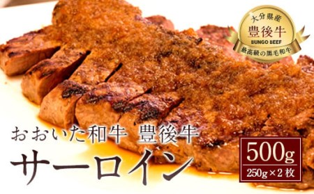 027-109 おおいた和牛 豊後牛 サーロイン 250g×2枚 計500g 牛肉 ステーキ