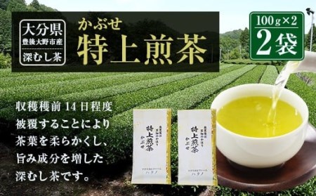 014-184 特上煎茶 かぶせ 100ｇ×2袋 200g