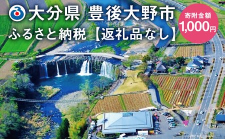 140-655 豊後大野市への寄付（返礼品はありません）1口 1,000円