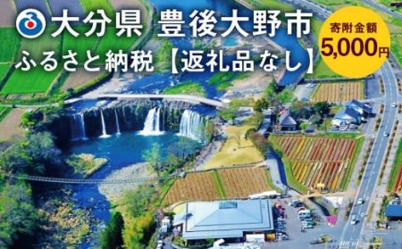 140-656 豊後大野市への寄付（返礼品はありません）1口 5,000円