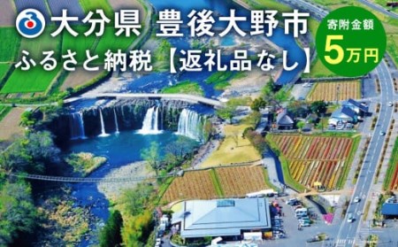 140-658 豊後大野市への寄付（返礼品はありません）1口 5万円