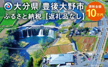 140-659 豊後大野市への寄付（返礼品はありません）1口 10万円