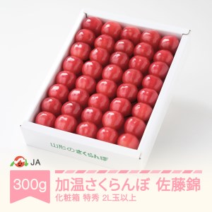 【先行予約】加温ハウス さくらんぼ 佐藤錦 2027年産 令和9年産 ja-snk2x300