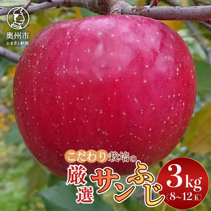 【スターファーム】 こだわり栽培の サンふじ 厳選品 約3kg 岩手県奥州市産りんご 産地直送 [AY004]