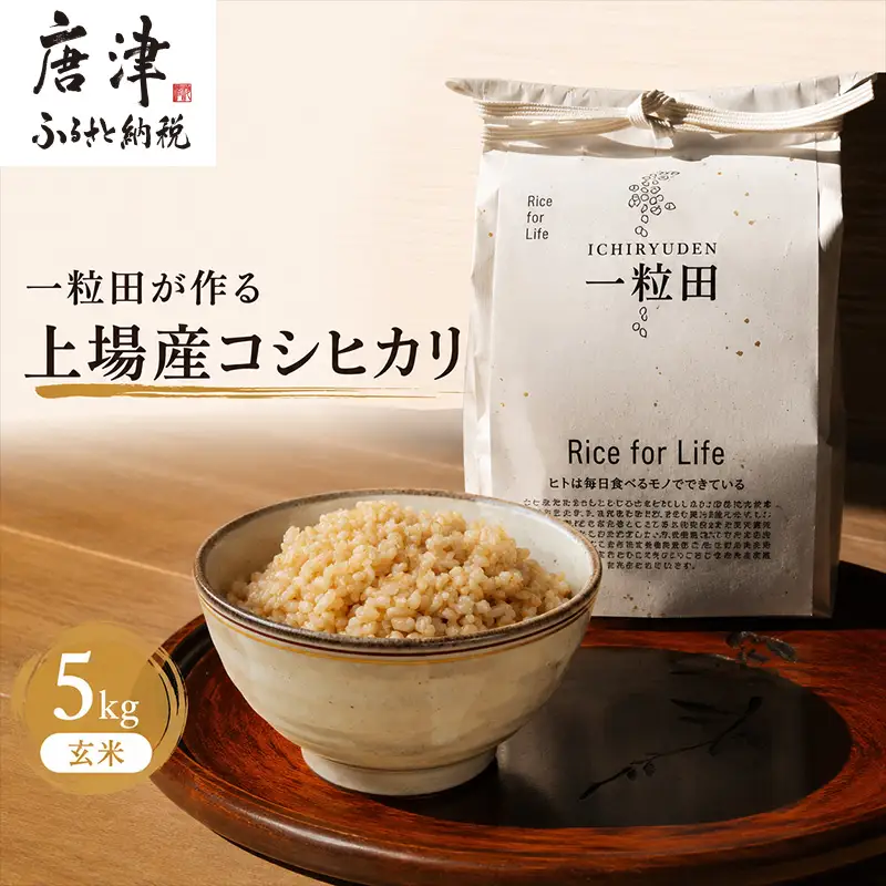 一粒田が作る上場産コシヒカリ 5kg (玄米)
