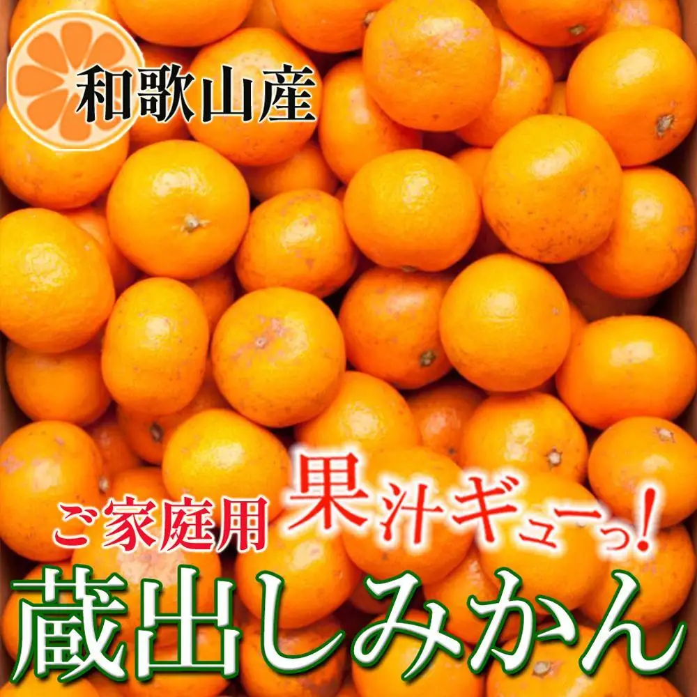 ［先行予約］家庭用 蔵出しみかん5kg+250g（傷み補償分）［2027年1月中旬から2027年2月末日頃、順次発送予定］［IKE242］
