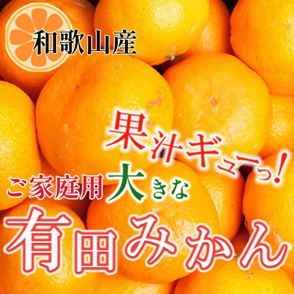 ［先行予約］家庭用 大きな有田みかん5kg+250g（傷み補償分）［2026年11月中旬から2027年1月末日頃、順次発送予定］［IKE244］