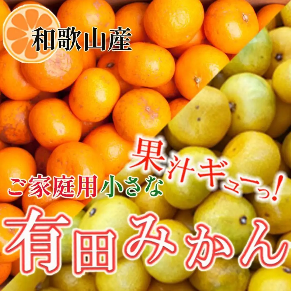 ［先行予約］家庭用 小さな有田みかん10kg+250g（傷み補償分）［2026年10月初旬から2027年1月末日頃順次発送予定］［IKE223］