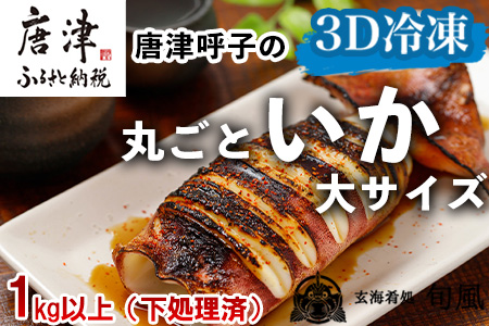 唐津呼子産 丸ごといか(大サイズ)下処理済 1kg以上 海鮮 新鮮 刺身 フライ 煮物 姿焼 「2023年 令和5年」
