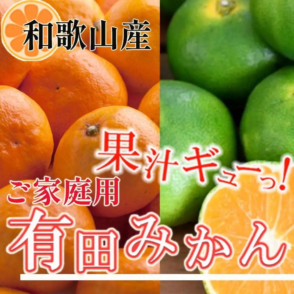 ［先行予約］家庭用 有田みかん5kg+250g（傷み補償分）［2026年10月初旬から2027年1月末日頃順次発送予定］［IKE247］