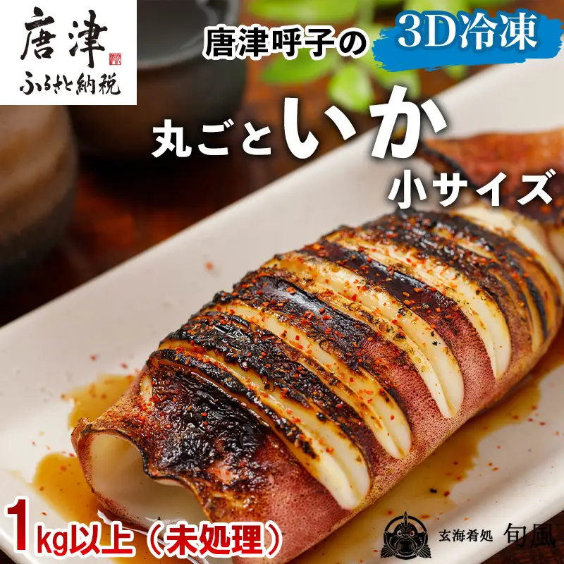 唐津呼子産 丸ごといか(小サイズ)未処理 1kg以上